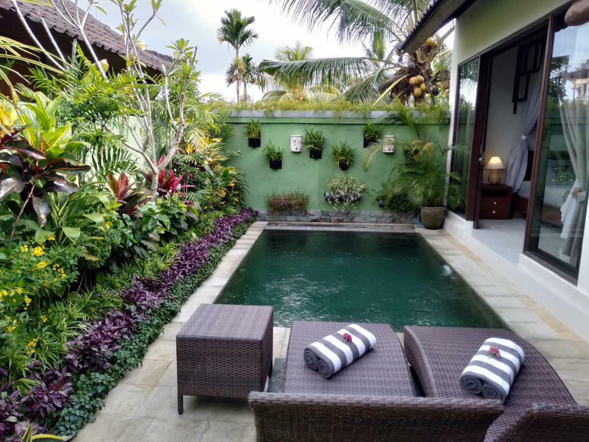 Rumah Mini Apartment Ubud  Exterior photo