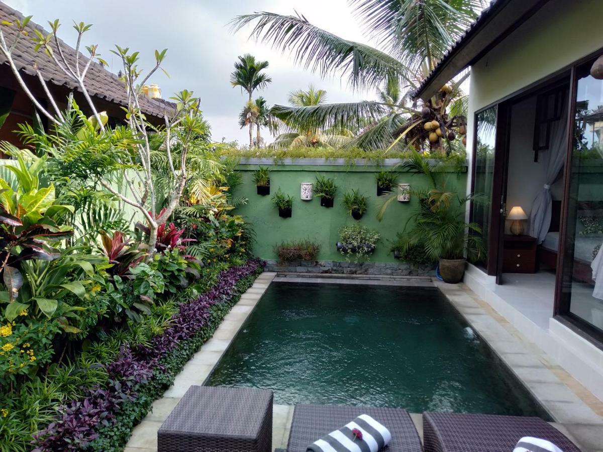 Rumah Mini Apartment Ubud  Exterior photo